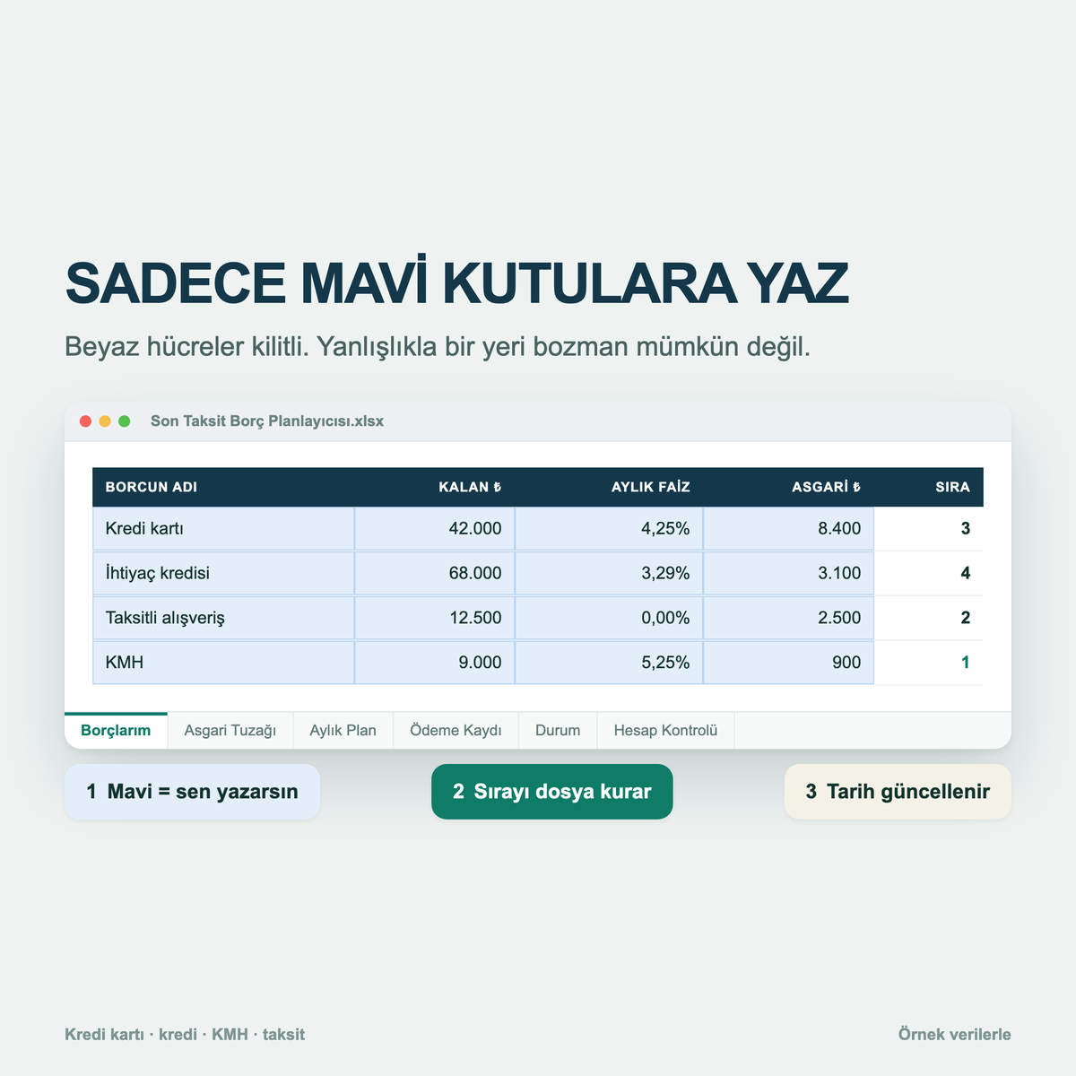 Sadece mavi hücrelere yazıyorsun, formüller kilitli
